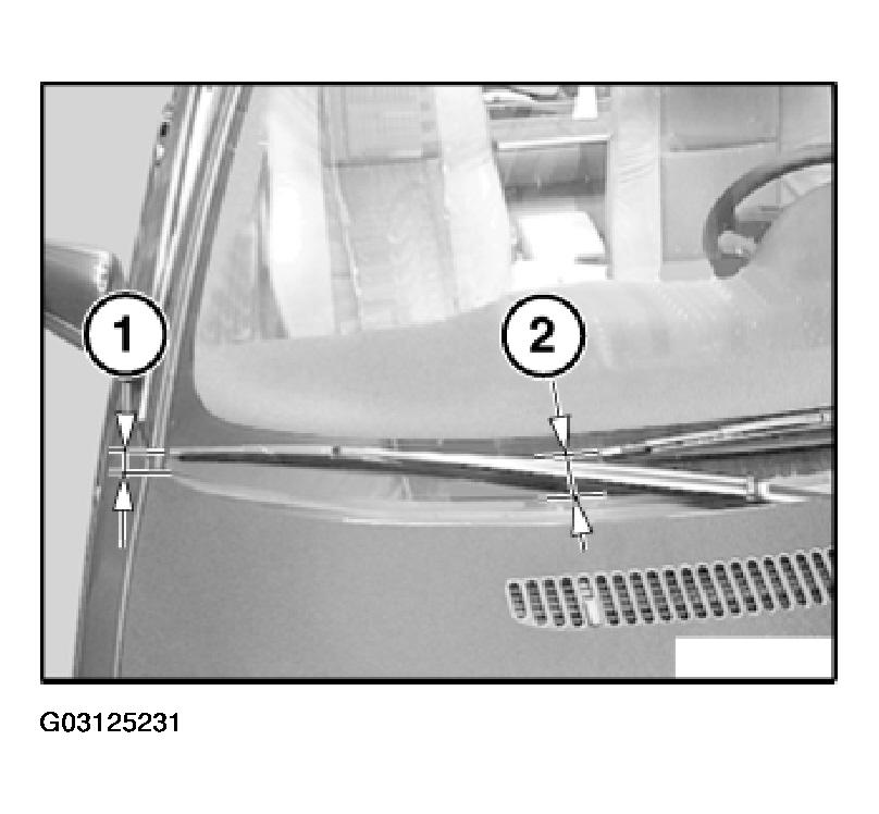 G03125231