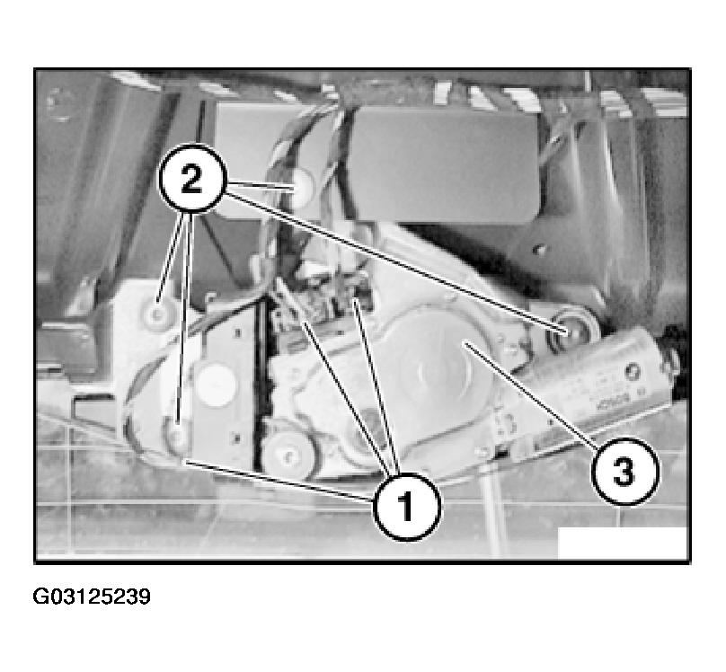 G03125239