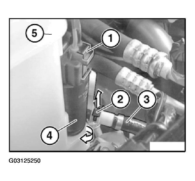 G03125250
