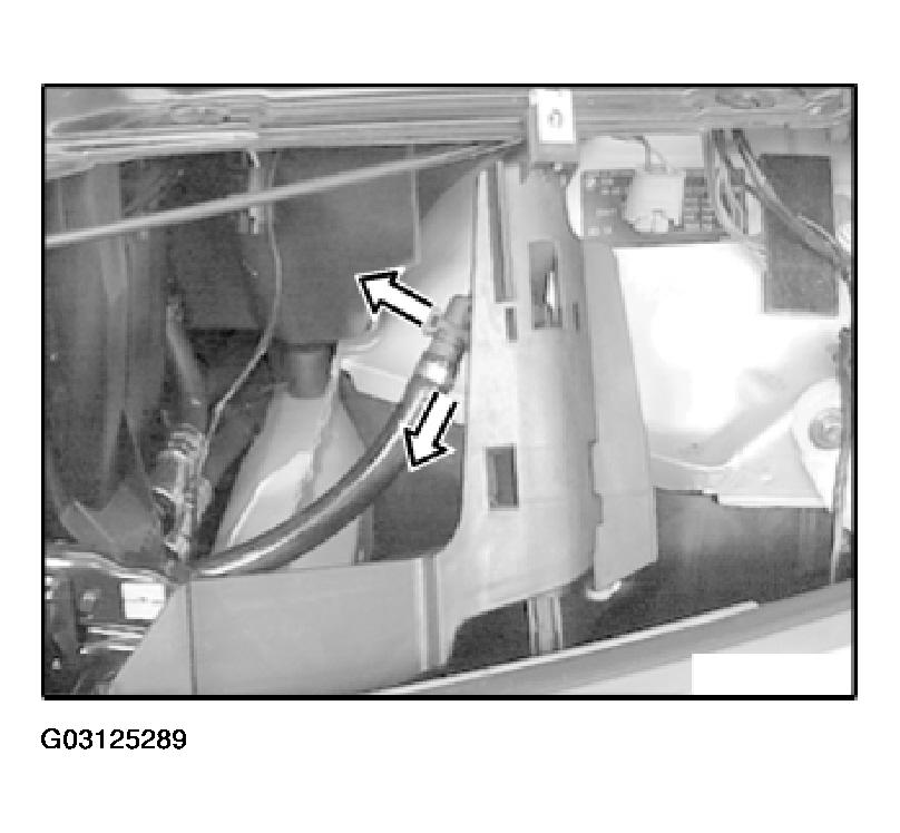 G03125289