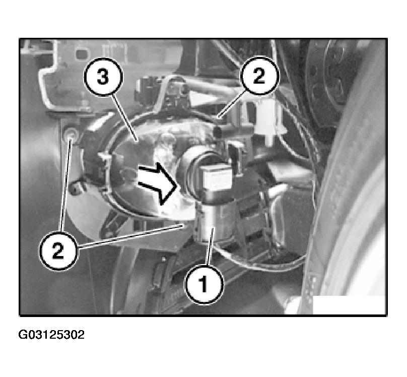 G03125302