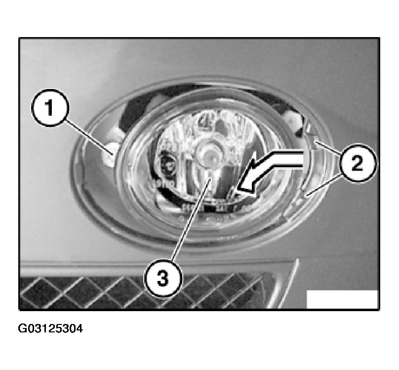 G03125304