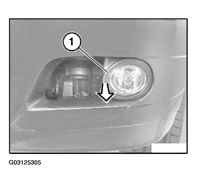G03125305