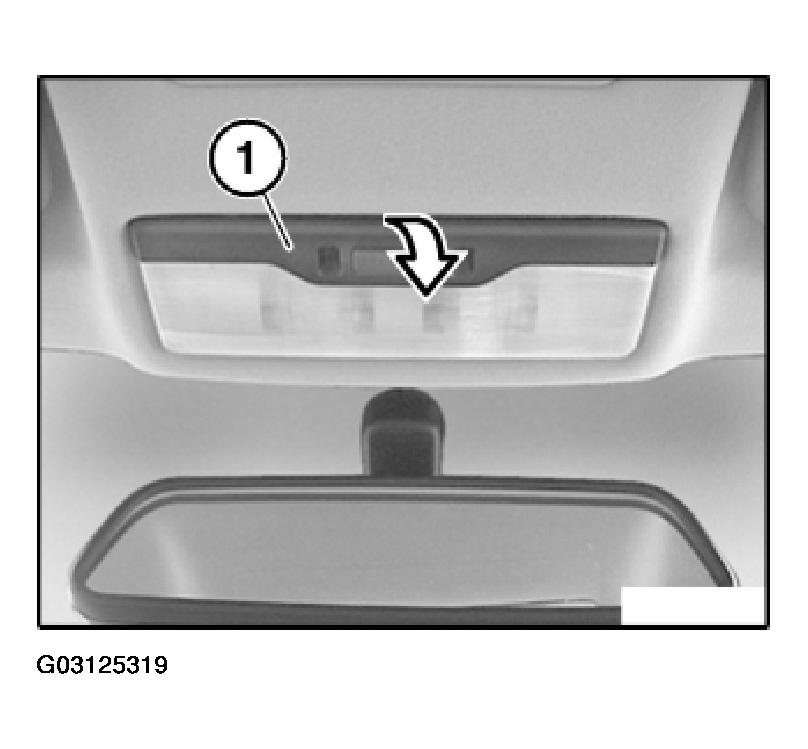 G03125319
