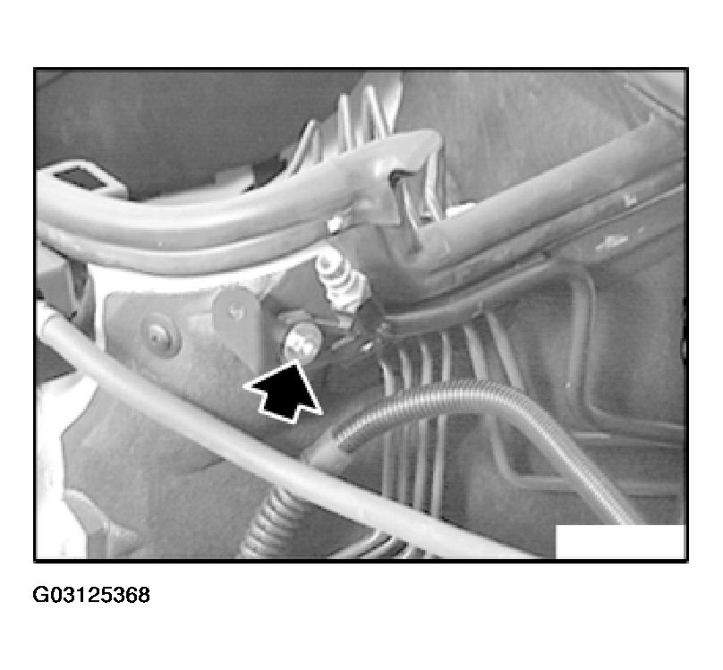 G03125368