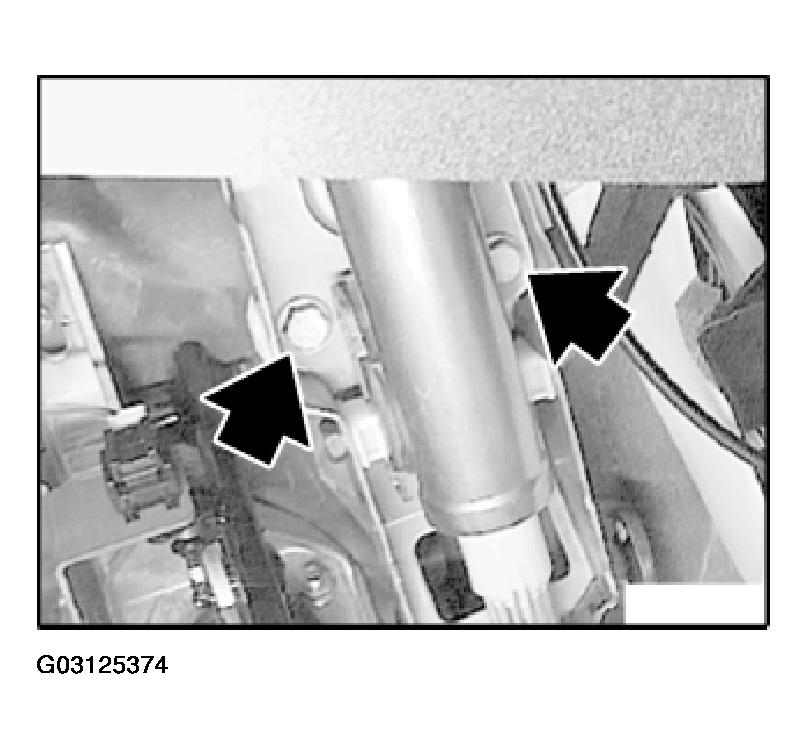 G03125374