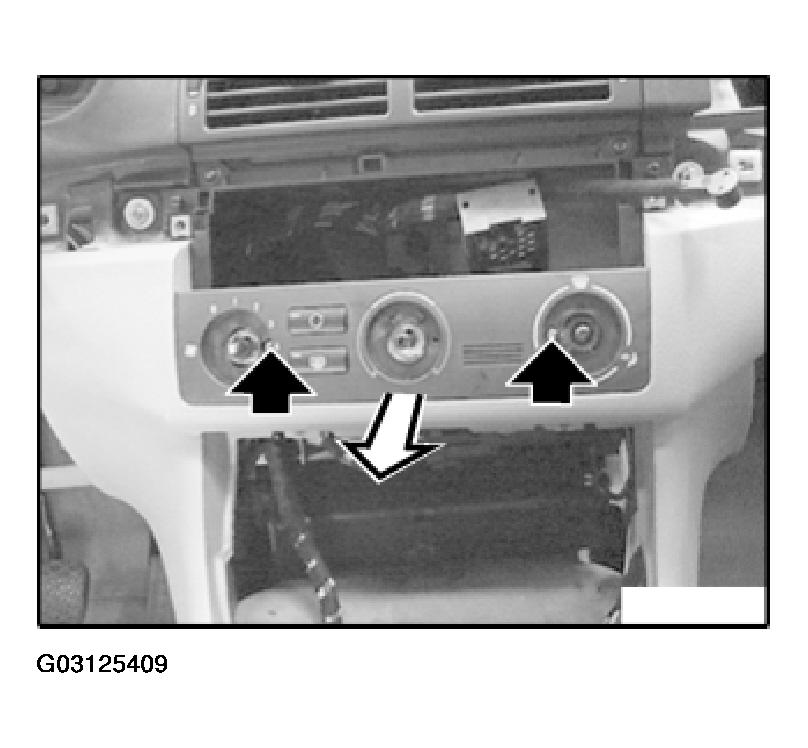 G03125409