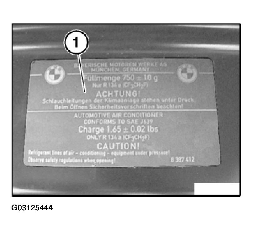 G03125444