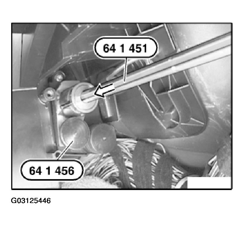 G03125446