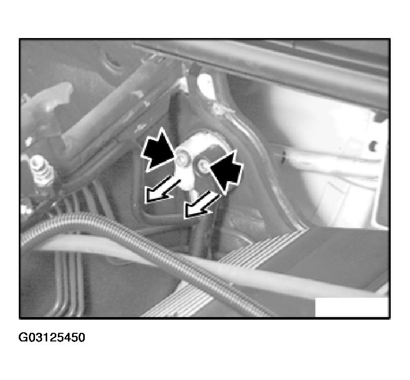 G03125450