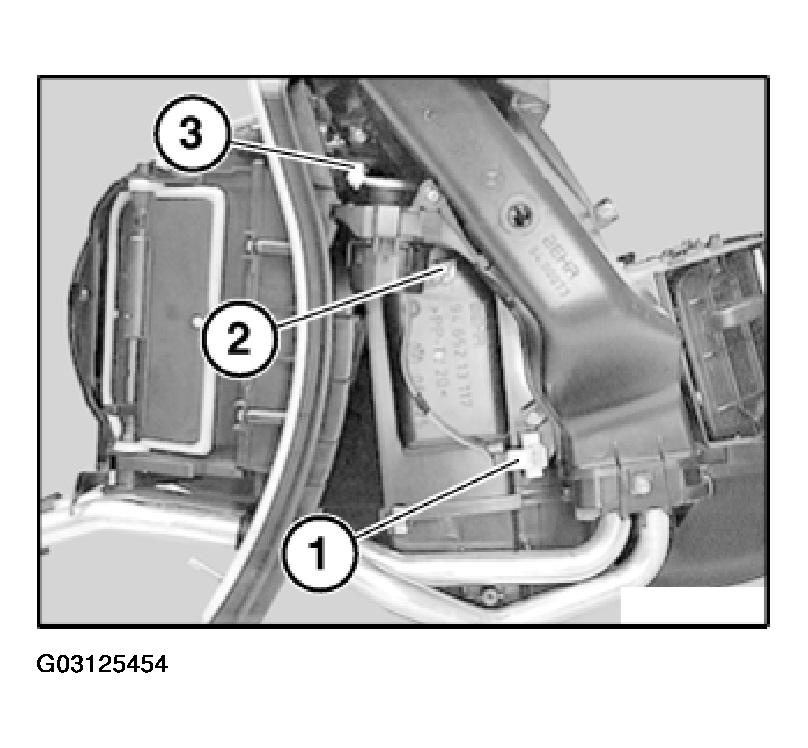 G03125454