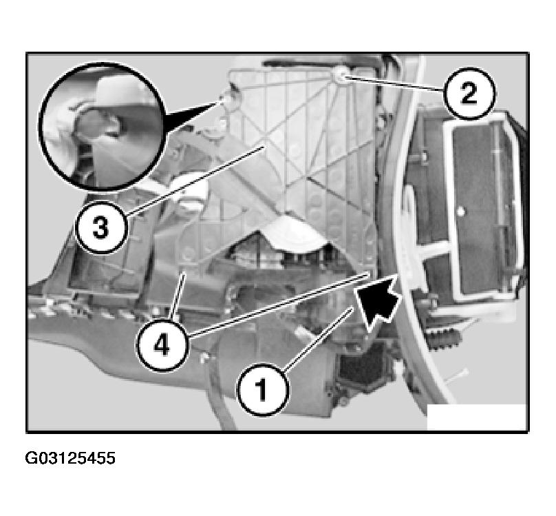 G03125455