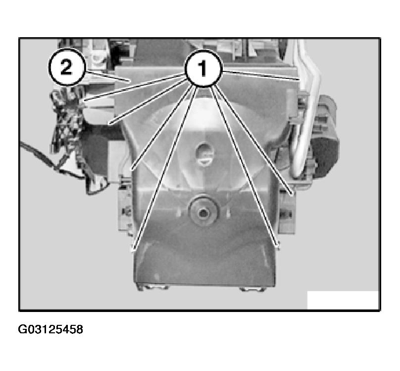 G03125458