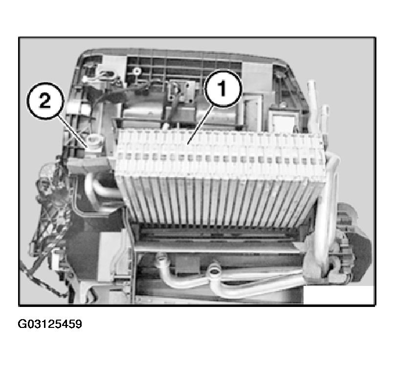 G03125459