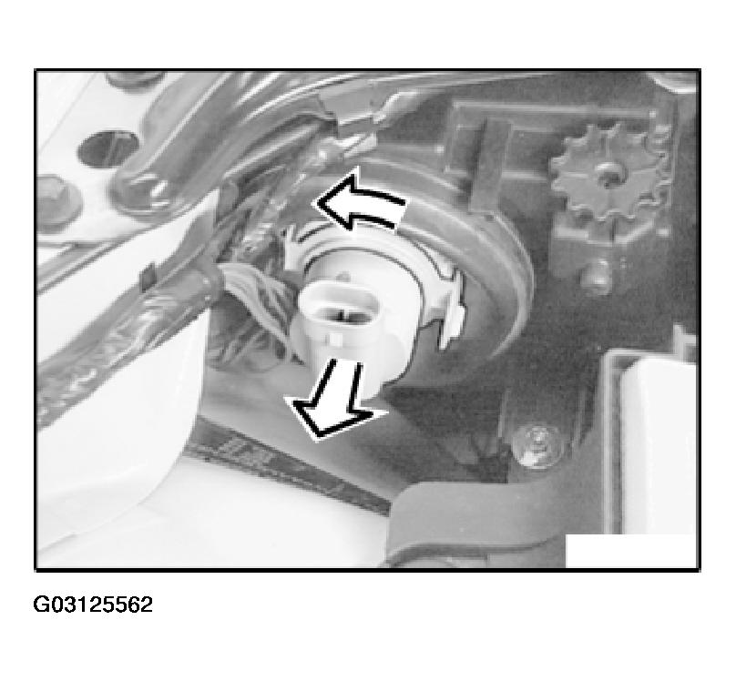 G03125562