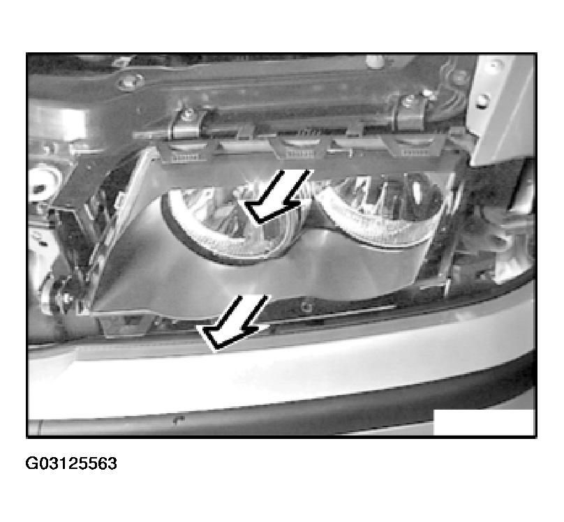 G03125563