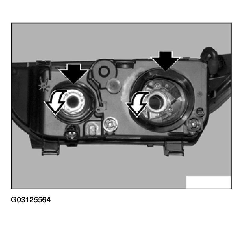 G03125564