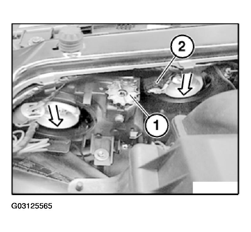 G03125565