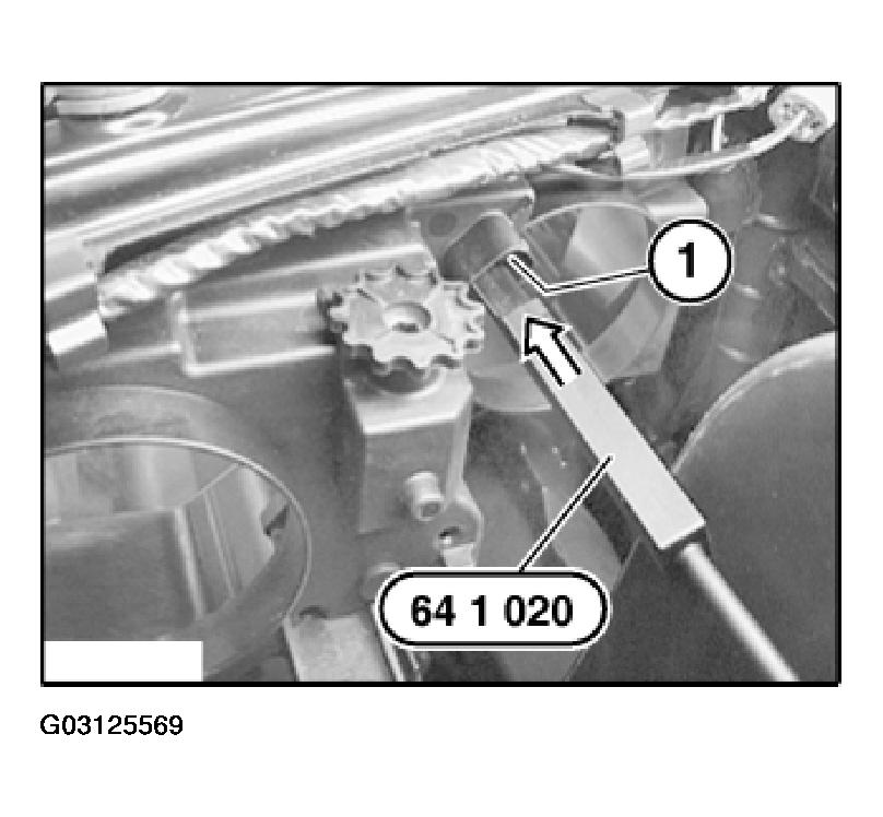 G03125569