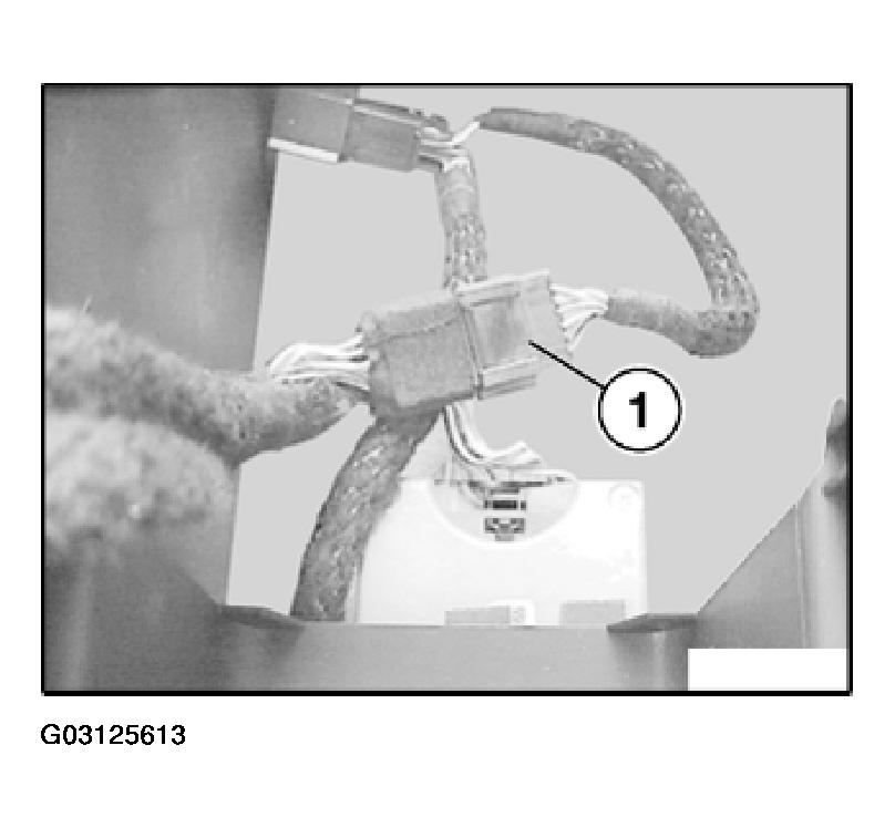 G03125613