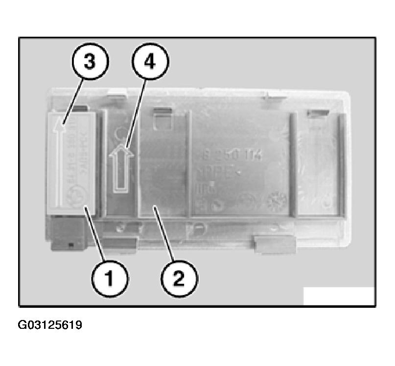 G03125619