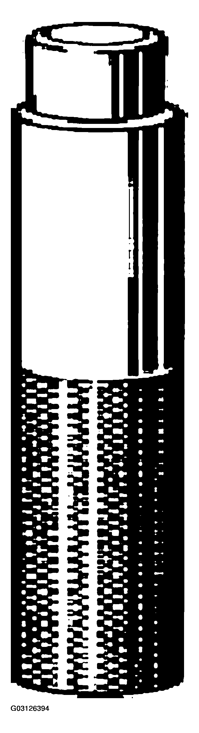 G03126394