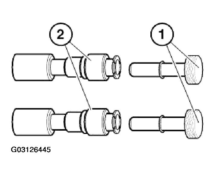 G03126445