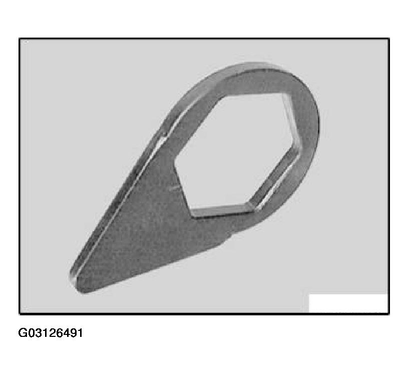 G03126491