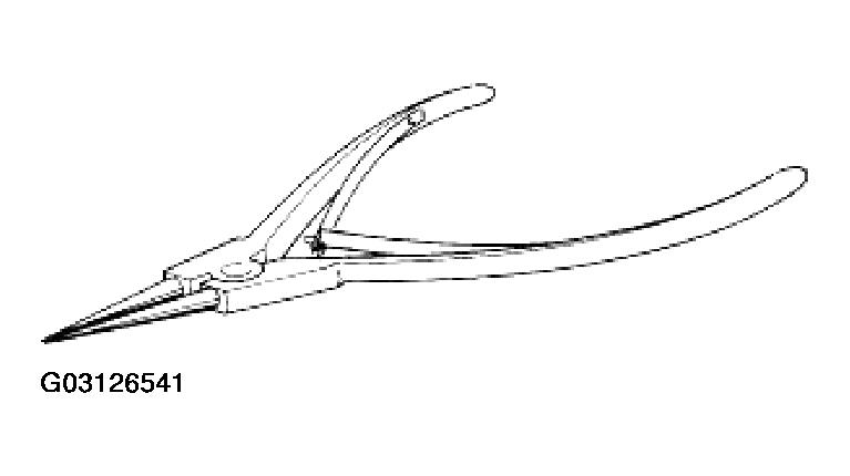 G03126541