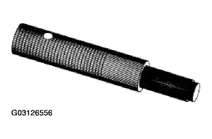 G03126556