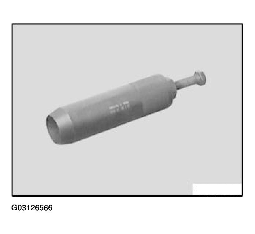 G03126566