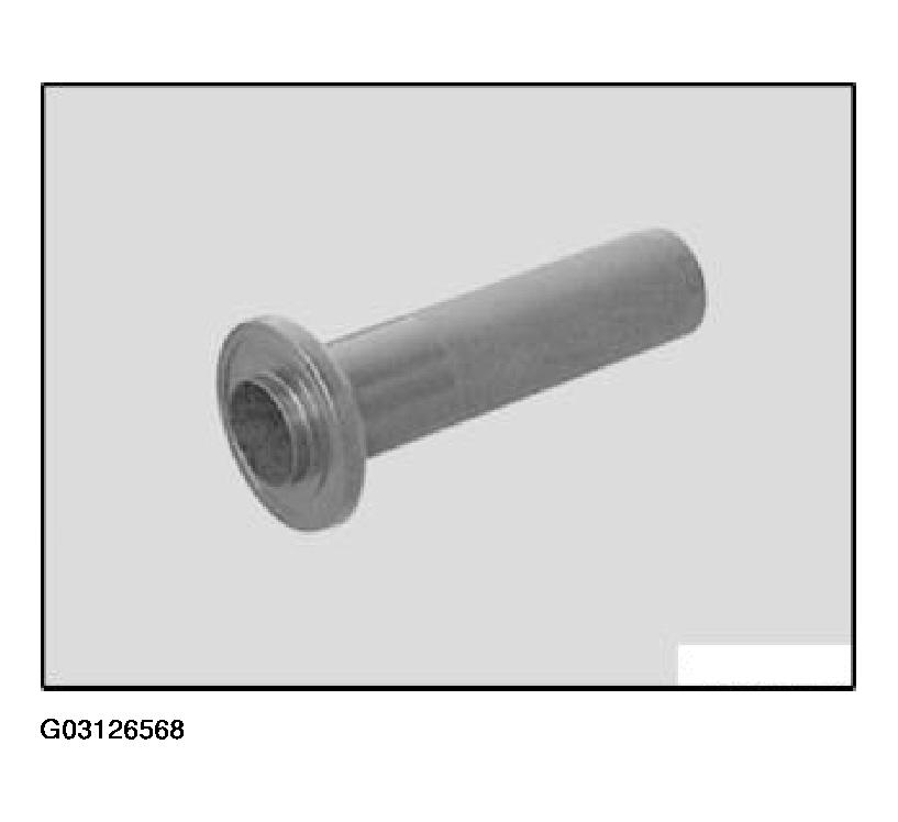 G03126568