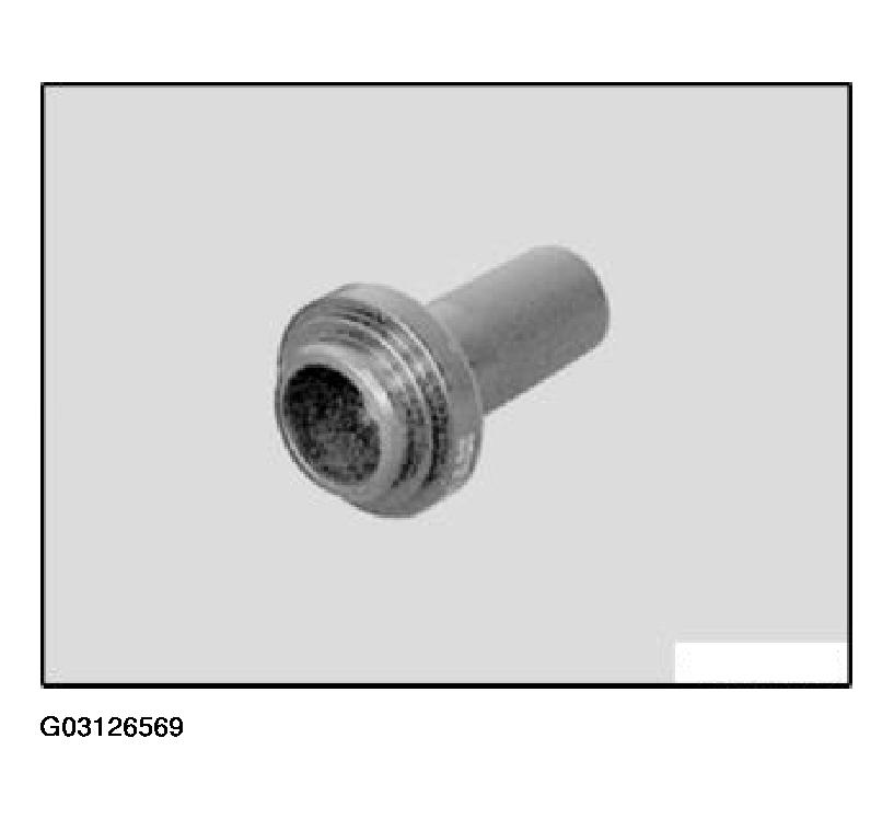 G03126569