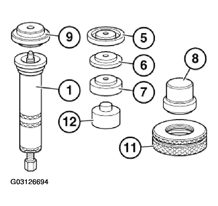G03126694