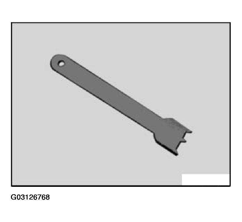 G03126768