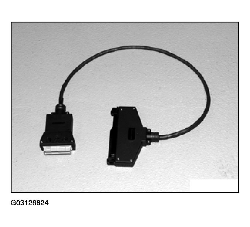 G03126824