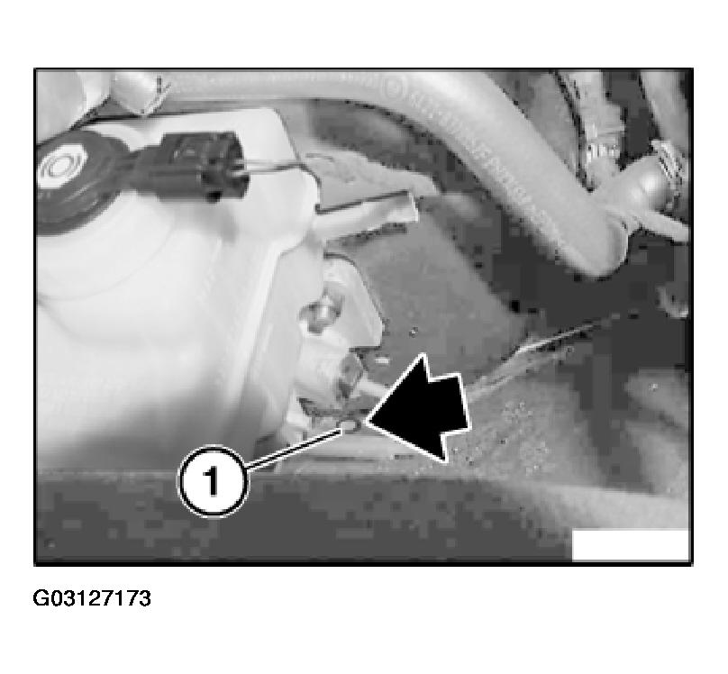 G03127173