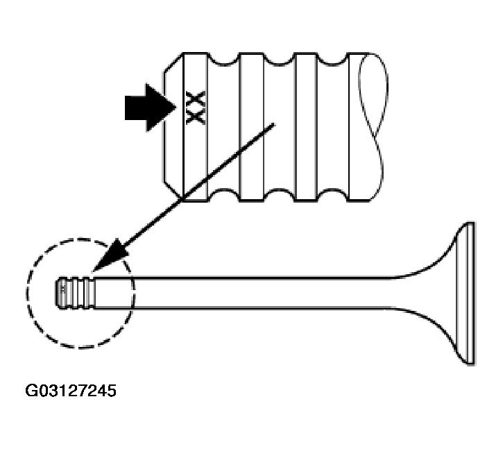 G03127245