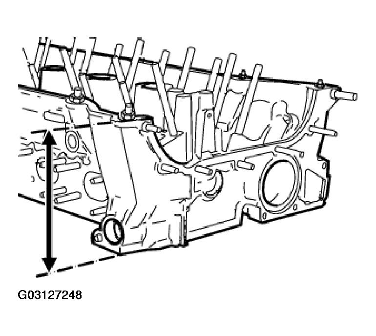 G03127248