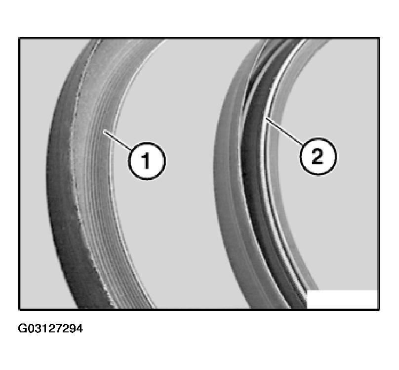 G03127294