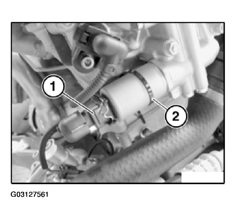 G03127561