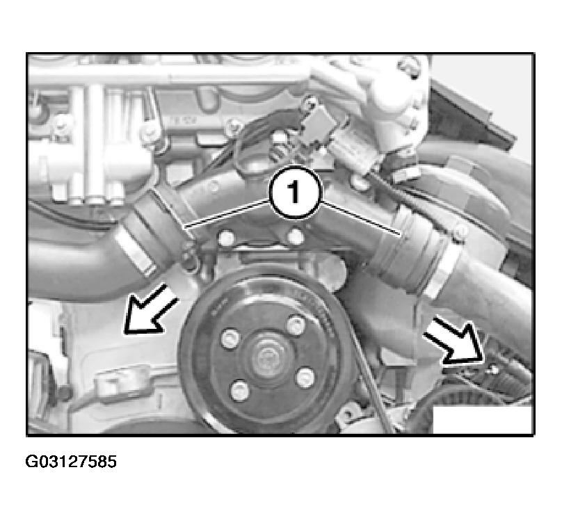 G03127585