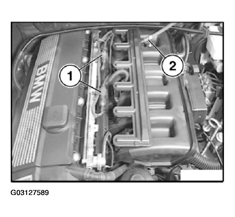 G03127589