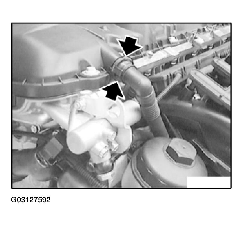 G03127592