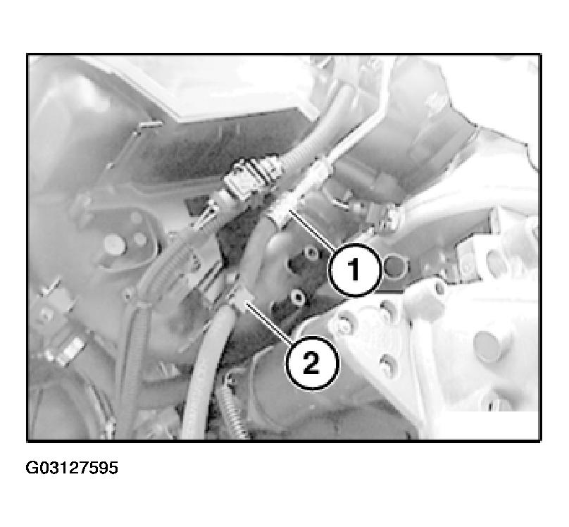 G03127595