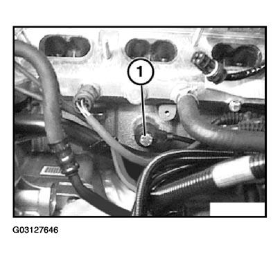 G03127646