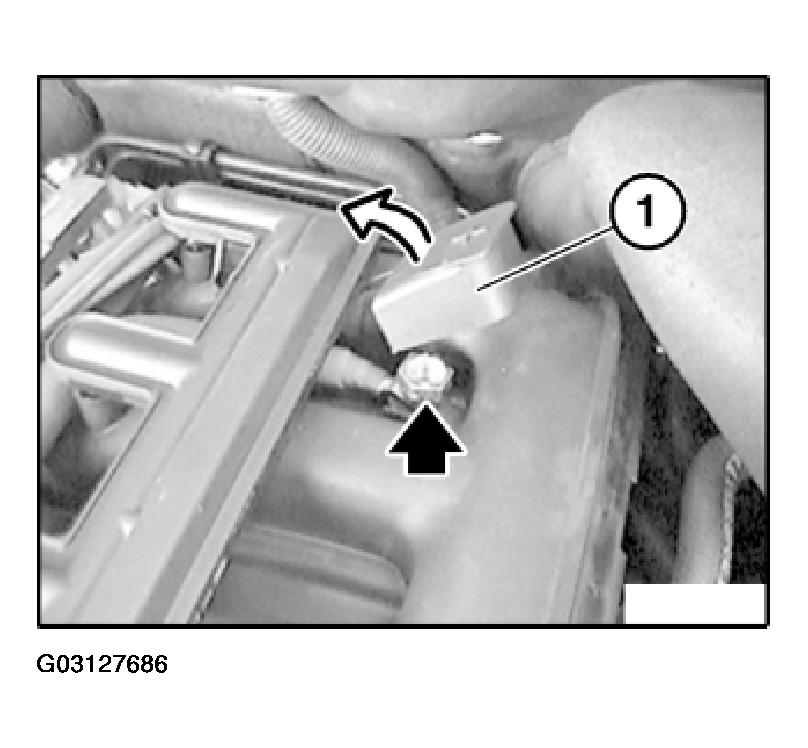 G03127686