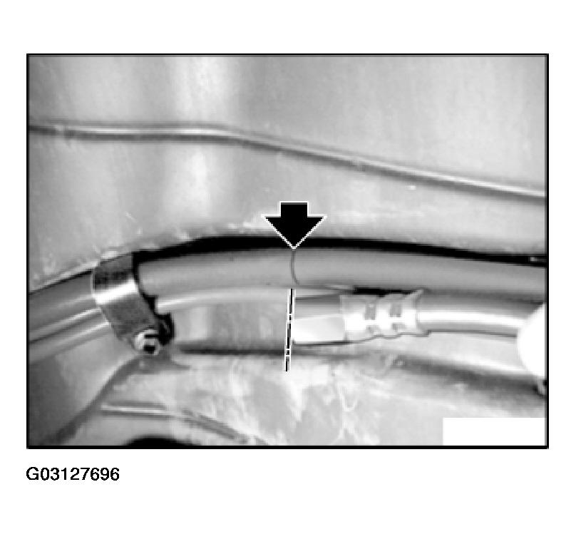 G03127696