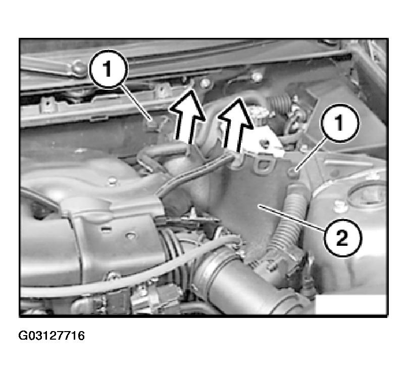 G03127716