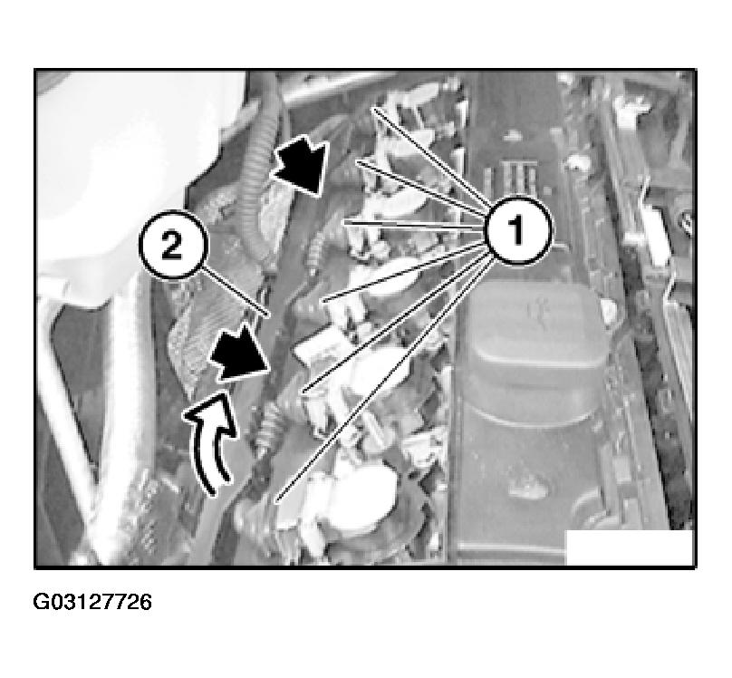 G03127726